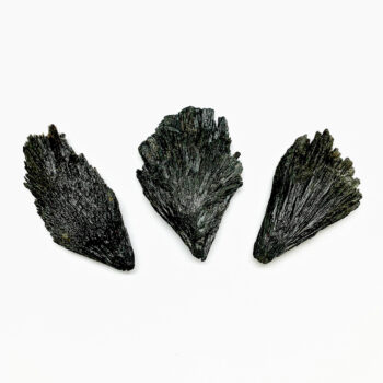 Black Kyanite Rough