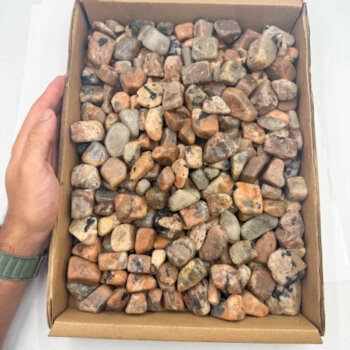 Black Tourmaline Tumbled