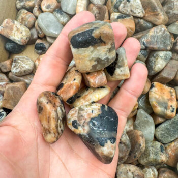 Black Tourmaline Tumbled