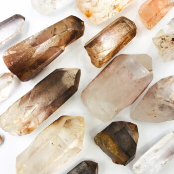 Strawberry Lemurians