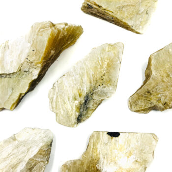 Golden Mica w/ Black Tourmaline