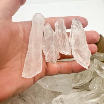 Root Lemurians (3.5kg Bulk Sale lot)