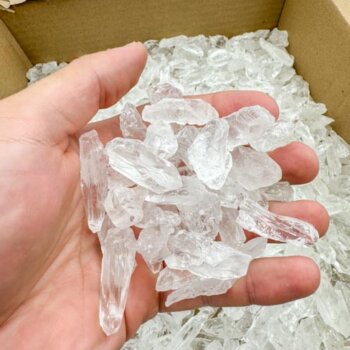 Root Lemurians - Mini (3.75kg Bulk Sale lot)