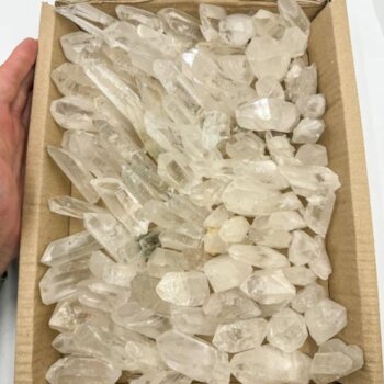 Clear Lemurian Points (3.85kg Bulk Sale lot)