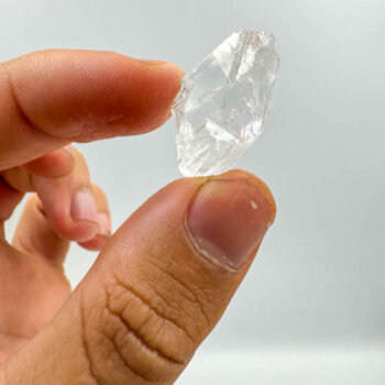 Root Lemurians - Mini