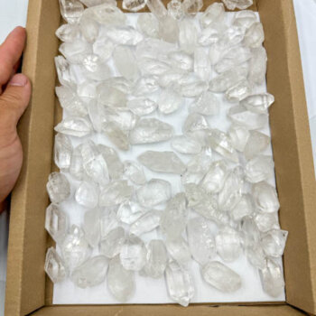 Clear Quartz DT Rough Points (1.3 KG Bulk Sale lot)