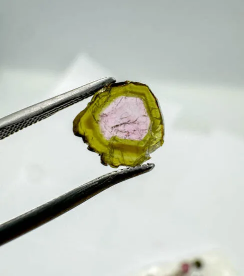 Watermelon Tourmaline (152 pieces lot)