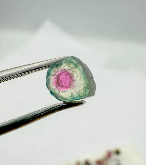 Watermelon Tourmaline (152 pieces lot)