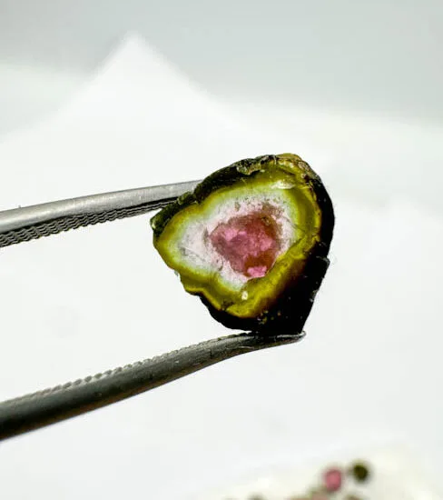 Watermelon Tourmaline (152 pieces lot)