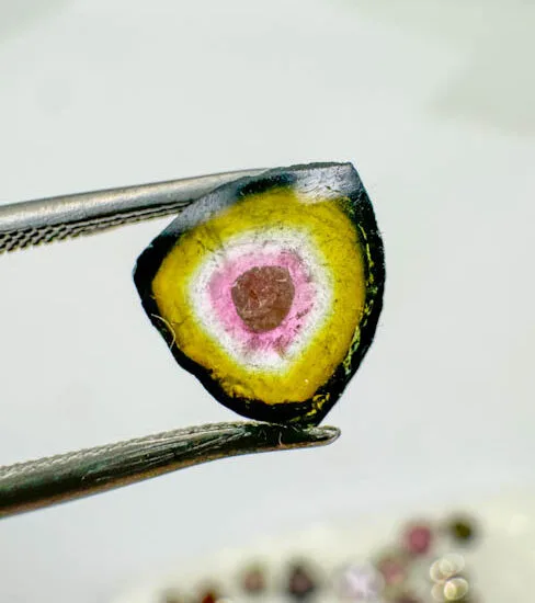 Watermelon Tourmaline (152 pieces lot)