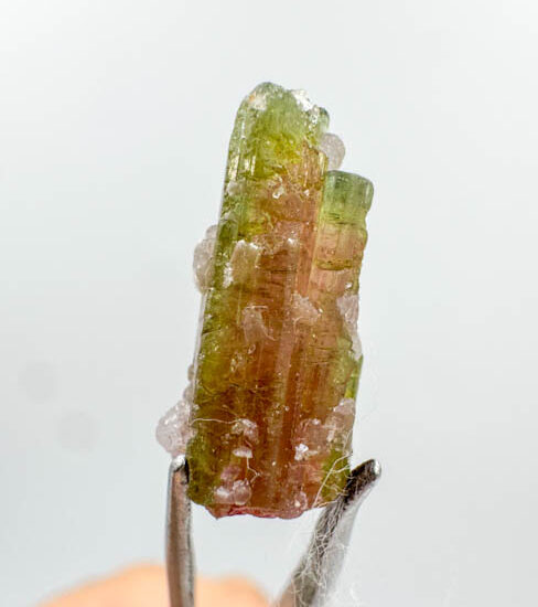 Watermelon Tourmaline Specimens (8 pieces lot)