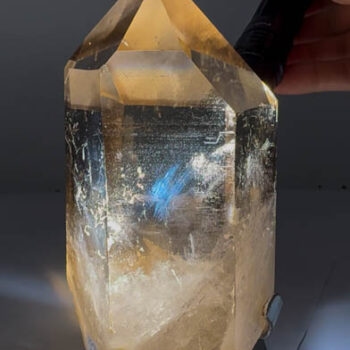 "Blue Needle" Smoky Citrine Polished Point (1.59 Kilos Piece)