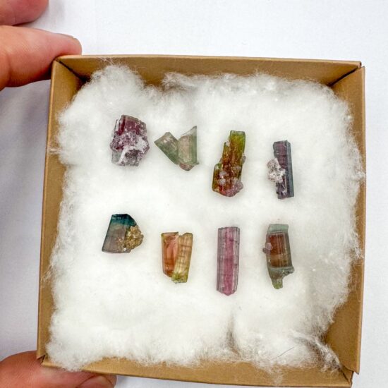 Watermelon Tourmaline Specimens (8 pieces lot)