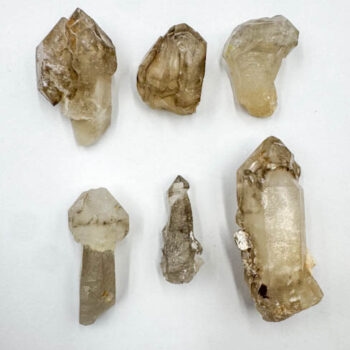 Smoky Quartz Scepters (6pcs lot)