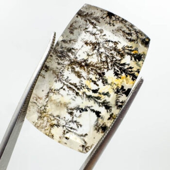 Dendrite Quartz Cab (30ct piece)