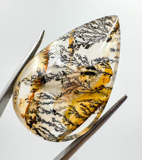 Dendrite Quartz Cab (46.5ct piece)