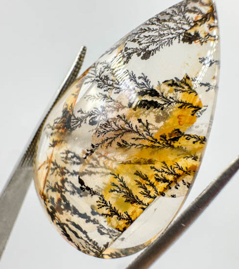 Dendrite Quartz Cab (46.5ct piece)