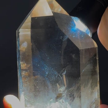 Polished Smoky “Blue Needle” Inner Child Lemurian (455g Piece)