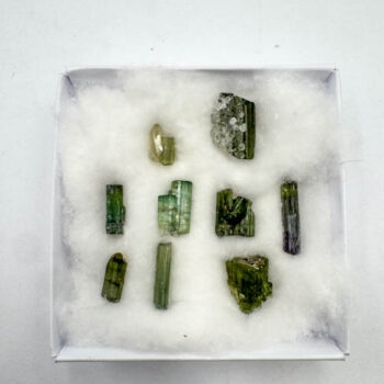 Green Tourmaline Speciemens (9pcs Lot)