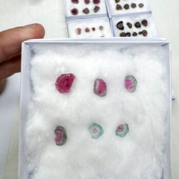 Watermelon Tourmaline Slices (6 pieces lot)