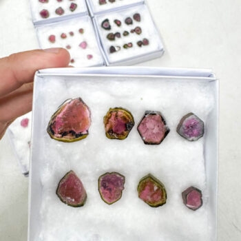Watermelon Tourmaline Slices (8 pieces lot)