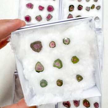 Watermelon Tourmaline Slices (9 pieces lot)