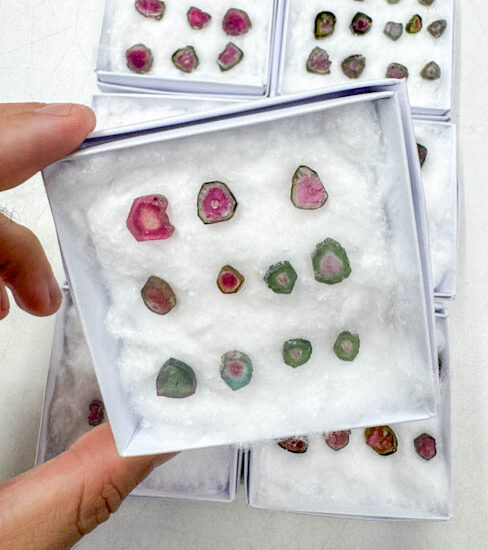 Watermelon Tourmaline Slices (11 pieces lot)