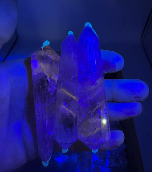 Amethyst Vogels (UV Reactive)