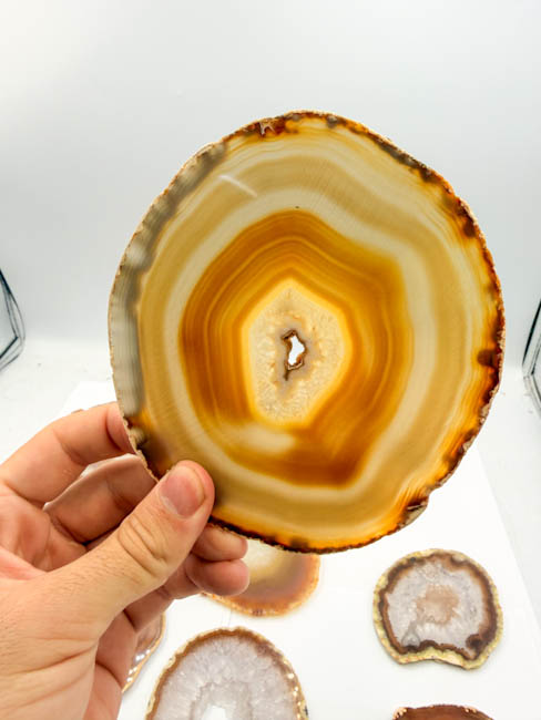 Natural Agate Slices (11 pieces lot) Natural Agate Slices (11 pieces lot)
