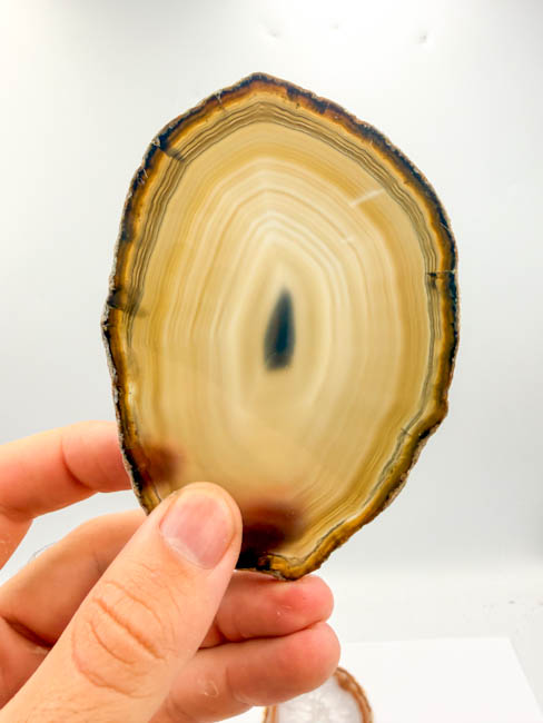Natural Agate Slices (14 pieces lot) Natural Agate Slices (14 pieces lot)
