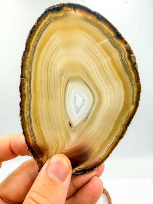 Natural Agate Slices (14 pieces lot) Natural Agate Slices (14 pieces lot)