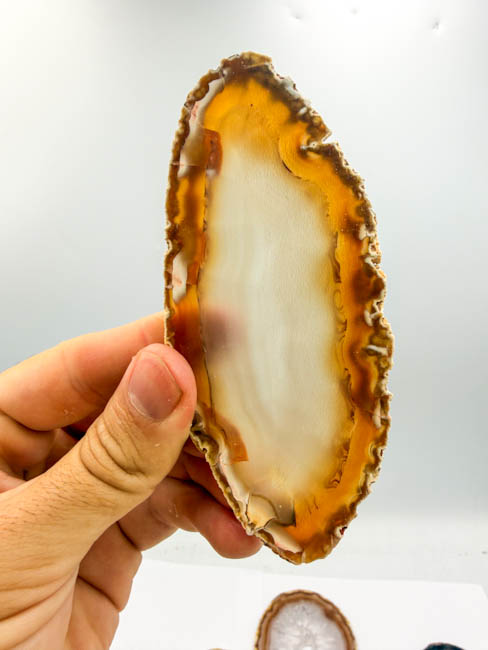 Natural Agate Slices (14 pieces lot) Natural Agate Slices (14 pieces lot)