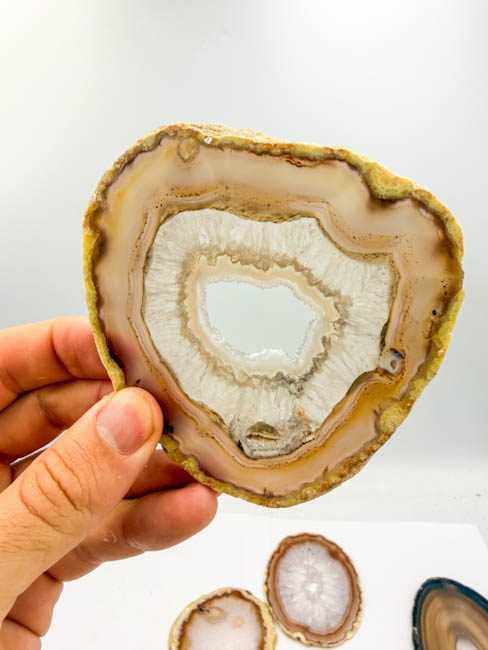 Natural Agate Slices (14 pieces lot) Natural Agate Slices (14 pieces lot)